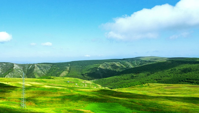 勇“蒙”精进！永大电梯显耀内蒙城市群